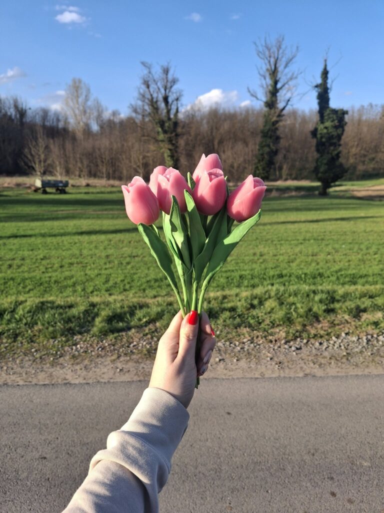 Buket ružičastih tulipana – HANČI